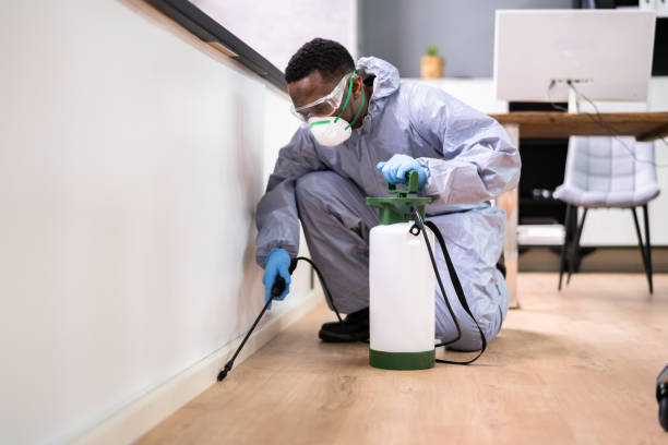 Best Pest Prevention Services  in Barton, NM